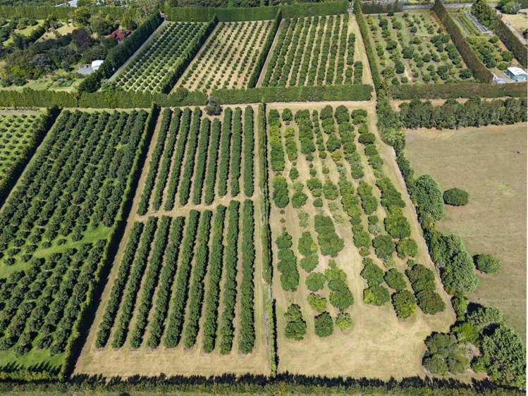 88 Stone Wall Rse Maungatapere_12