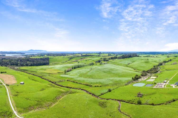 0 Paul Road Mangawhai_6