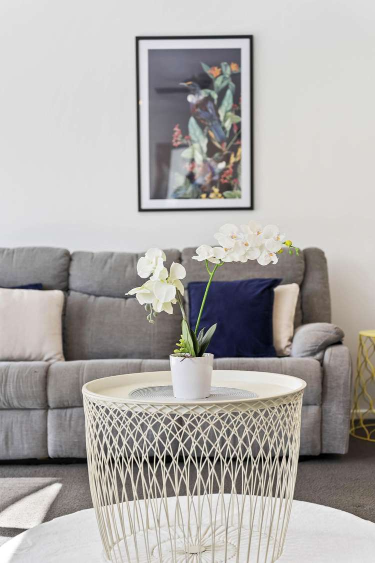 46B Captain Scott Road Glen Eden_11