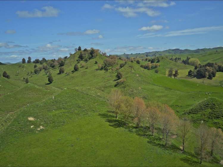 169 Owhakura Road Taihape_16