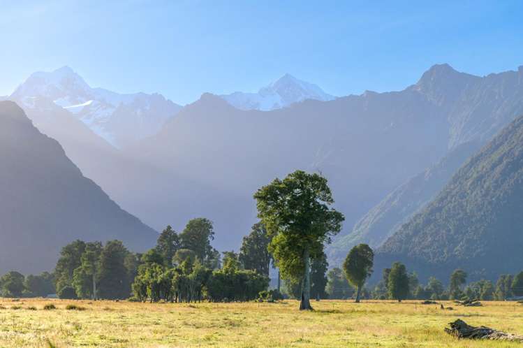 298 Cook Flat Road Fox Glacier_27