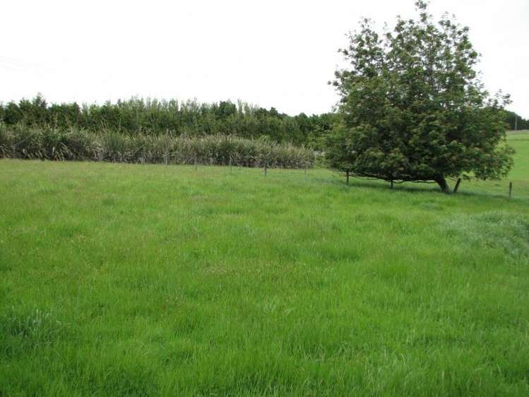 939 Hillend Road Balclutha_24