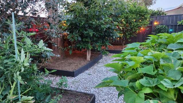 164 Tukapa Street Westown_3