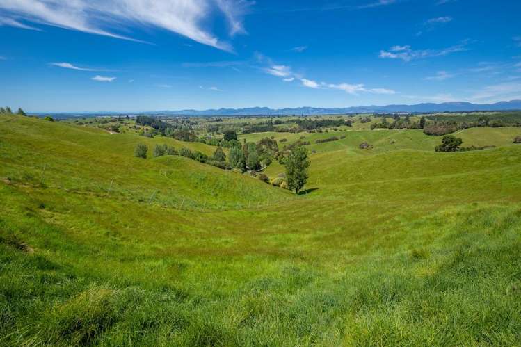 600 Neudorf Road Upper Moutere_34