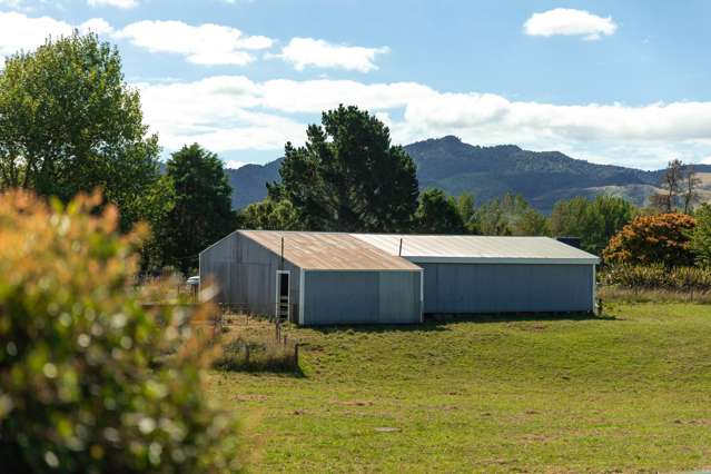 165 Crean Road Waihi_1