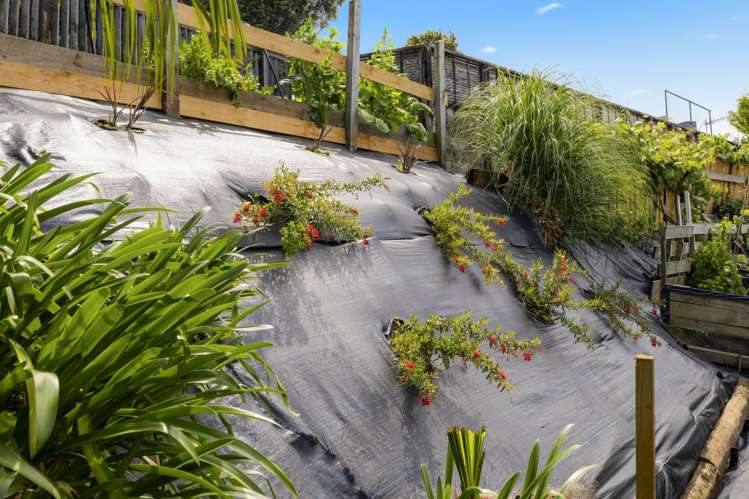 24 Anchorage Grove Maungatapu_56