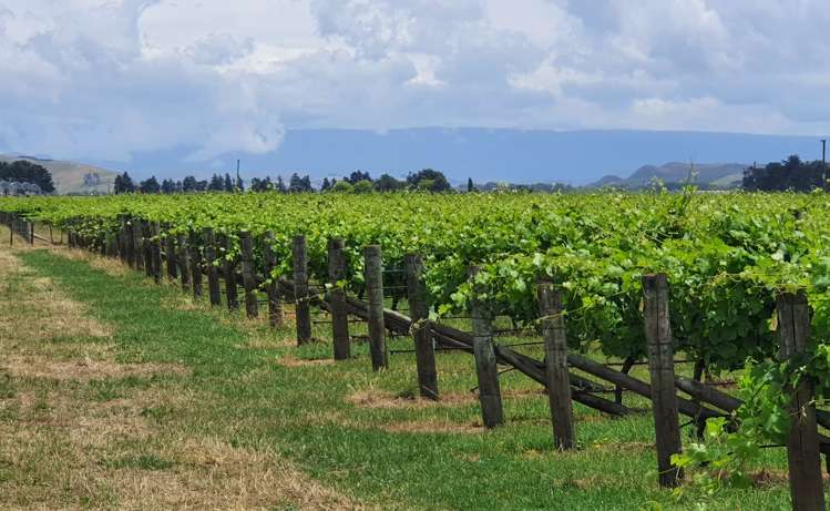 2061 Maraekakaho Road Central Hawkes Bay Coastal_0