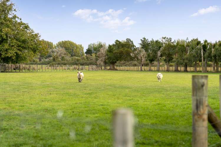 11 Te Ore Ore Bideford Road Masterton_26