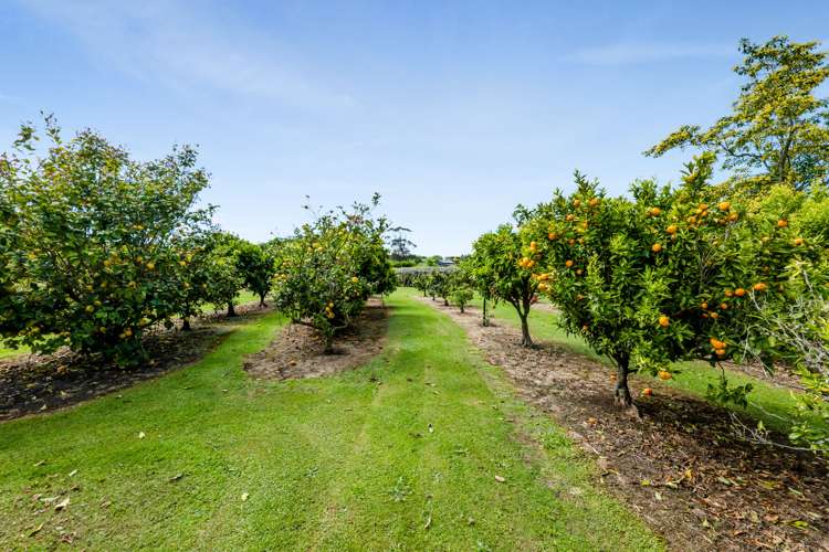 129 Richmond Road Waitara_8