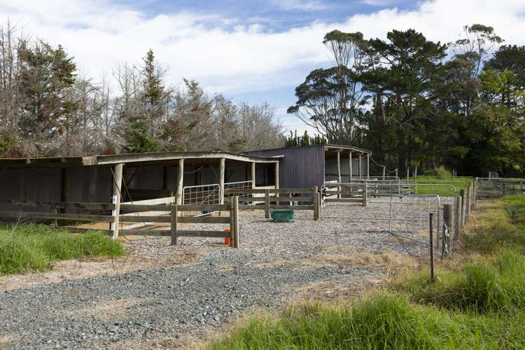 782 Gill Road Kaitaia_8