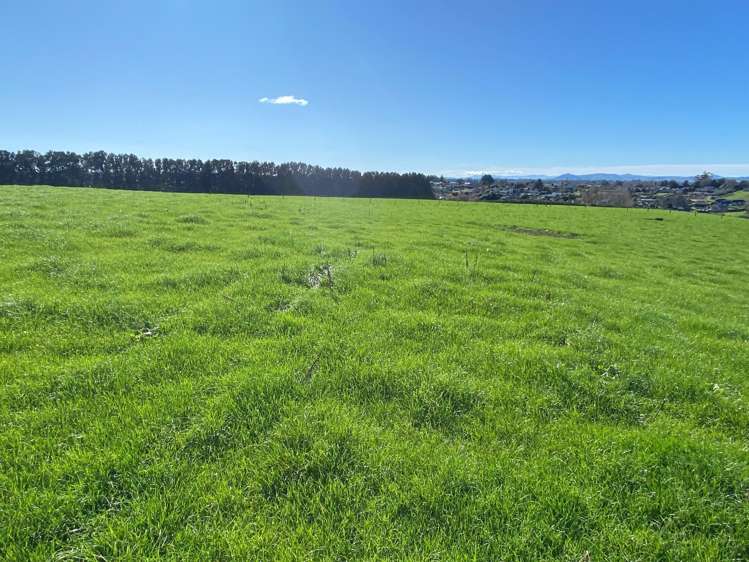 58 Ryburn Road Ohaupo_9