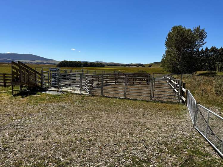 109 Affleck Road Castle Downs_12