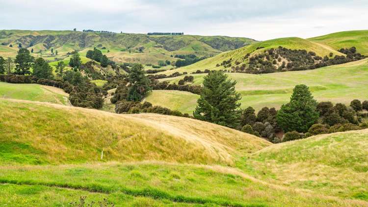 48 Heathfield Road Greta Valley_18