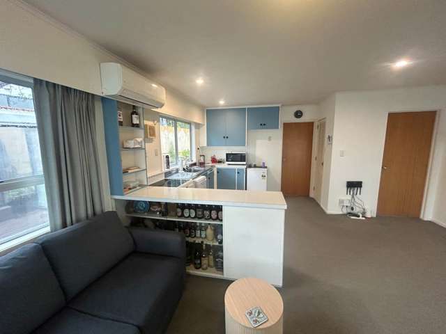 21A Galaxy Drive Mairangi Bay_3