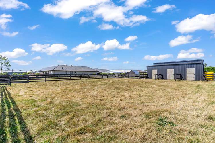 34 Union Street Winton_5