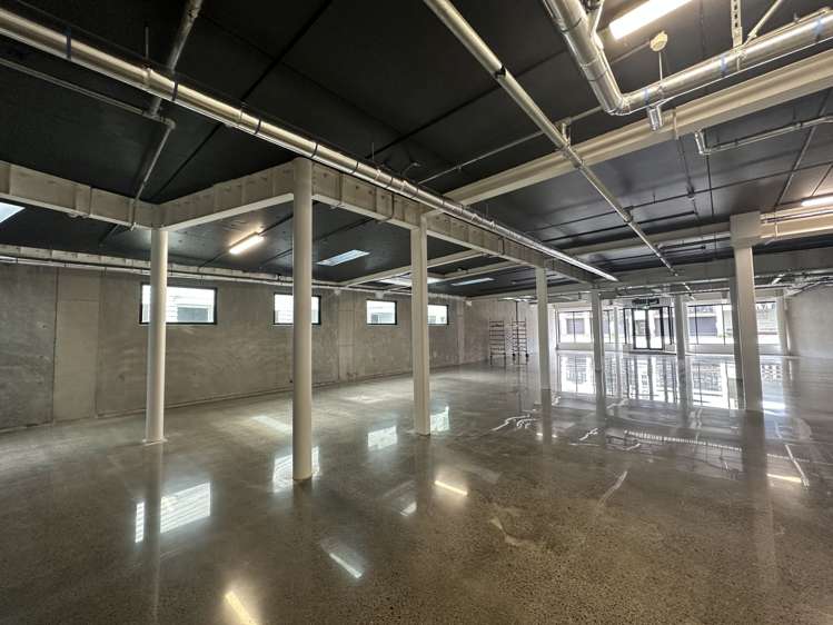 4-8 Rose Road Ponsonby_5