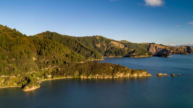 1622 Tumbledown Bay Road Port Underwood_17