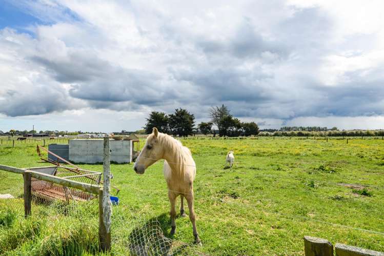 436 Green Road Rongotea_1