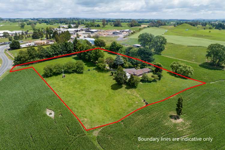 113 Domain Road Putaruru_3