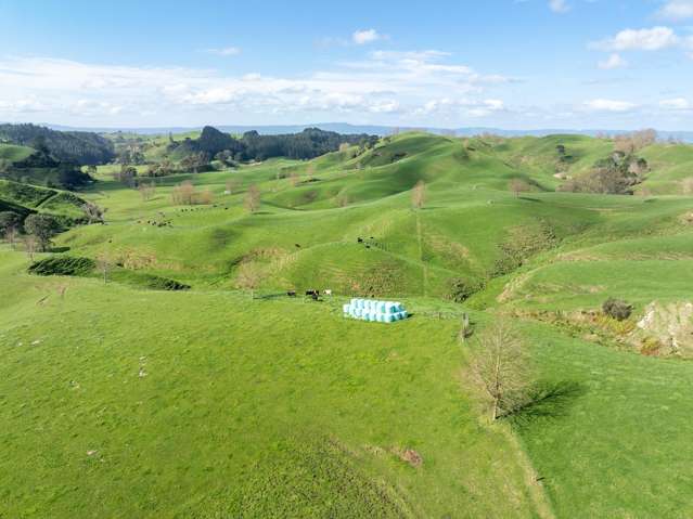 236 Taotaoroa Road Matamata_3