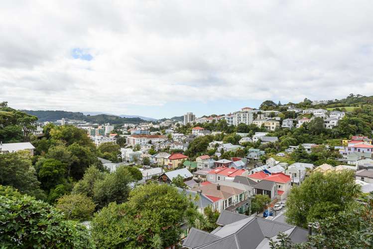 19 Devon Street Aro Valley_10