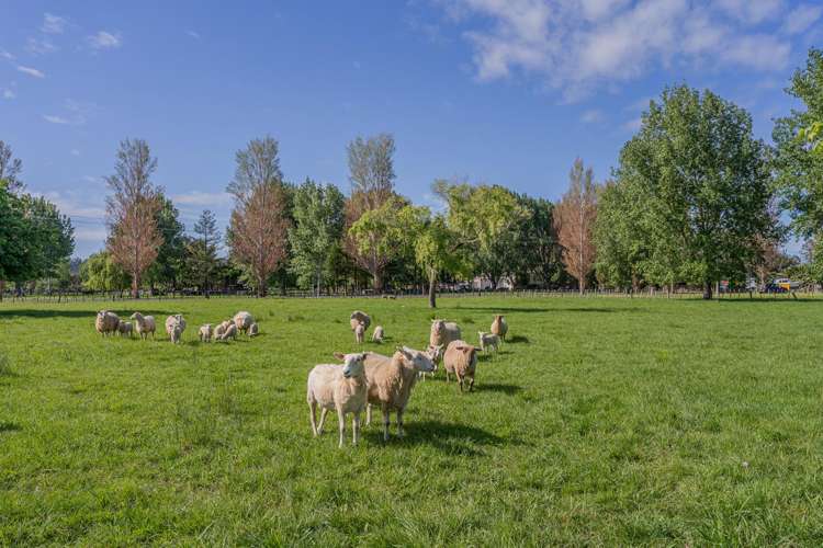 3263 SH 25 Tairua-Whitianga Rd Whitianga_42