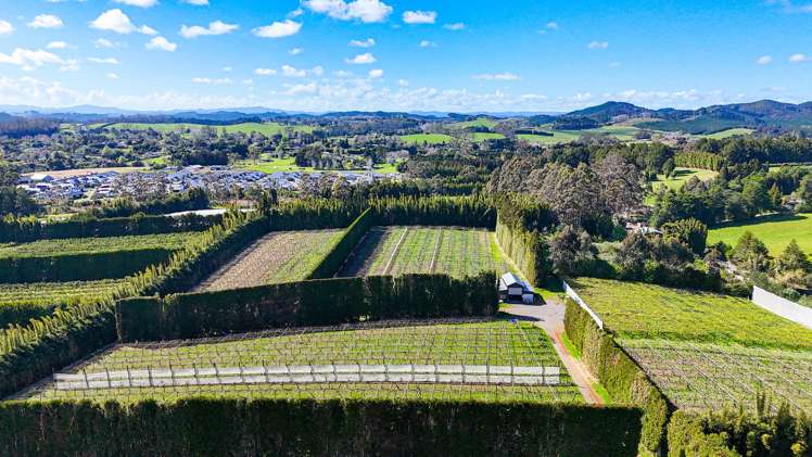 387 Kerikeri Road Kerikeri_6