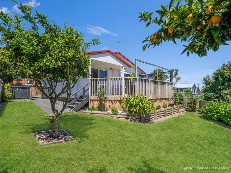 151A Edgecumbe Road Tauranga South_19