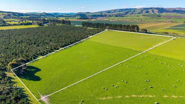 156 Webbs Road Amberley_4