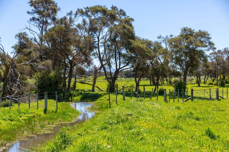 364 Wiltons Road West Taratahi_41