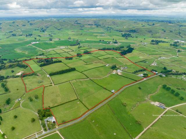 83 Waikuku Road Morrinsville_2