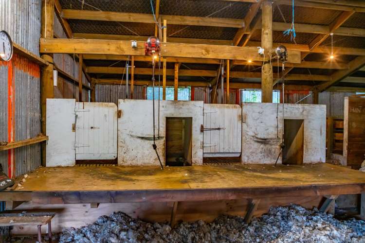 44 Parkinsons Road Ataahua_16