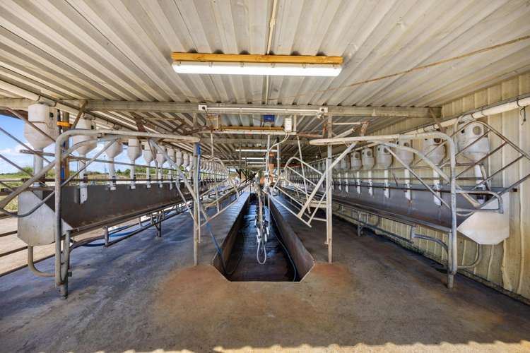 331 Kneebone Road Orini_3