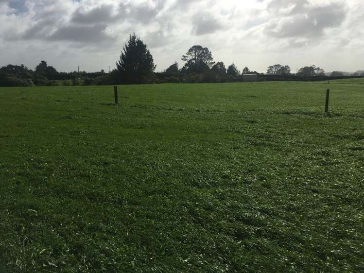 457 Kent Road Korito_18