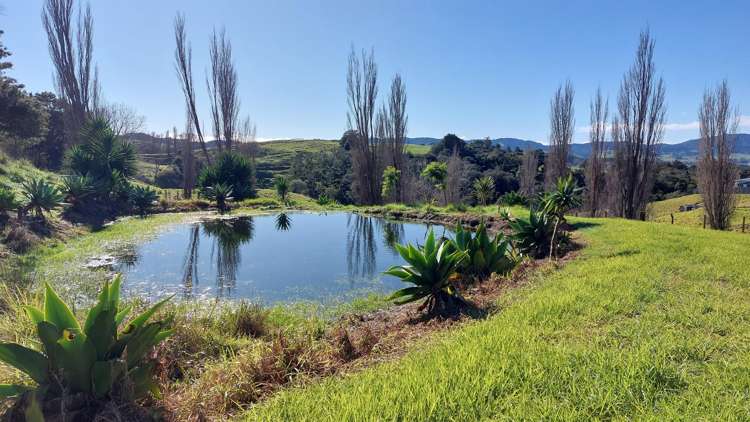 39 Gorge Road Maungaturoto_4