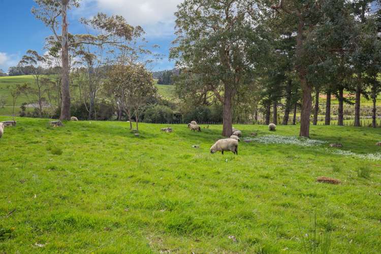 1524 Weranui Road Wainui_3