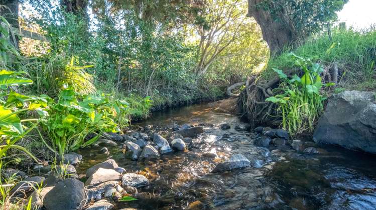 102 Puriri Valley Road_5