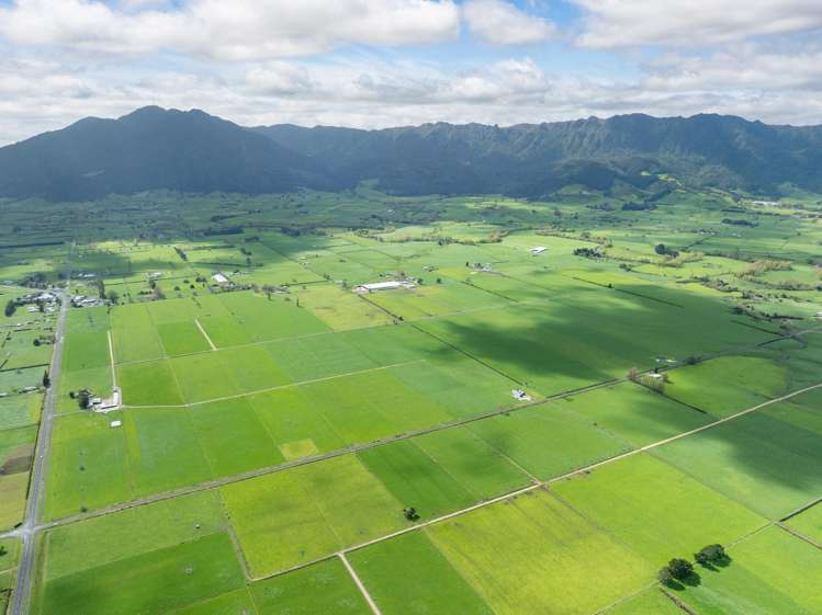 McKinley Road Te Aroha_38