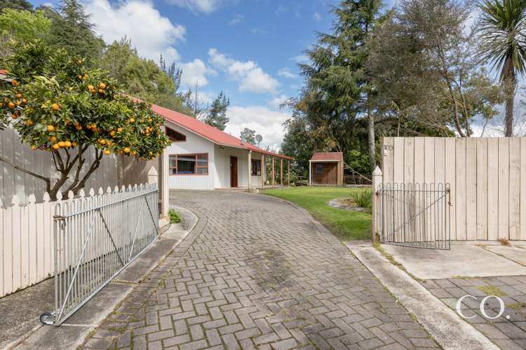 105 Marshall Avenue Greerton_18