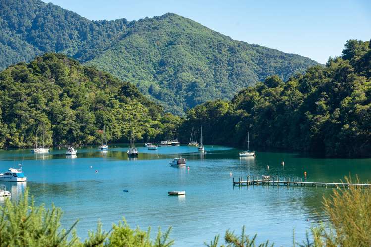 2393 Queen Charlotte Drive Anakiwa and Surrounds_11