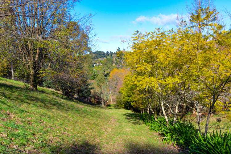 81 Nilgiri Road Poraiti_6