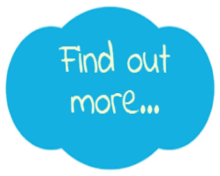 Address withheld Mount Maunganui_5