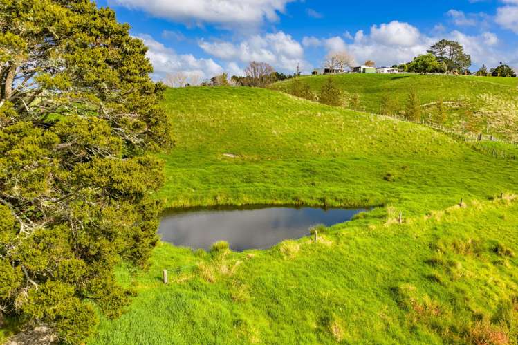 118 Paparoa Station Road Paparoa_25