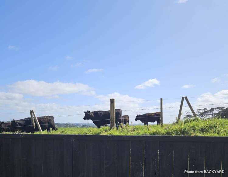 10b Kotiu Place Massey_16