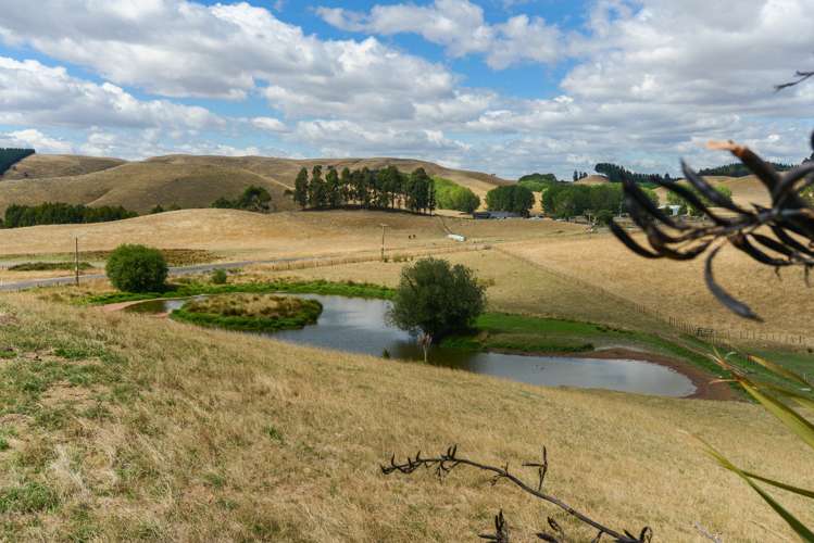 170 Matapiro Road Crownthorpe_14