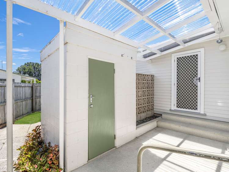 142 College Road Edgecumbe_29