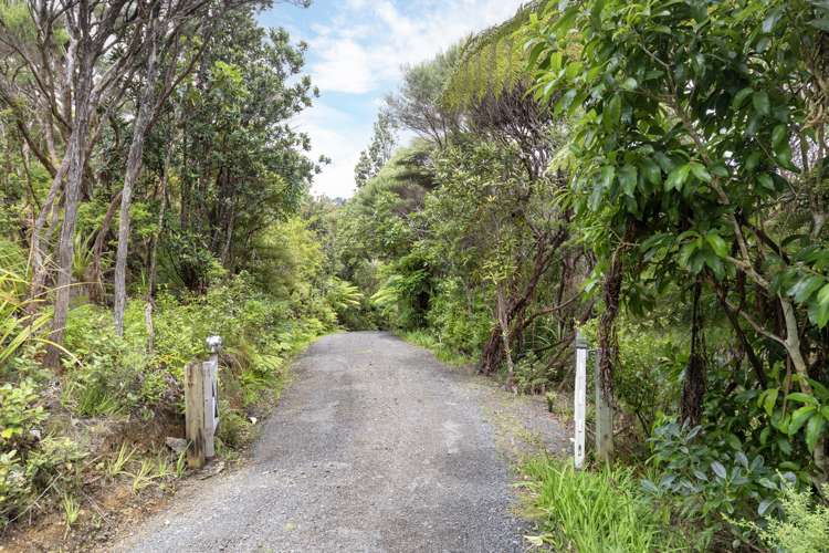 16 La Trobe Track Karekare_44