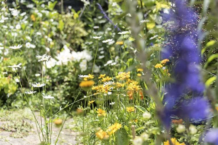 2/42 Rata Street New Lynn_15