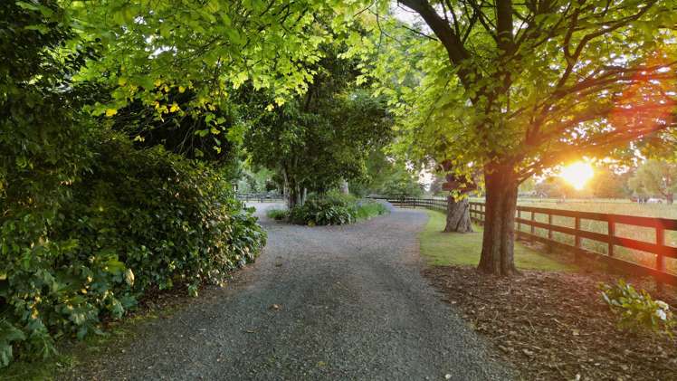 509 Marychurch Road Matangi_44