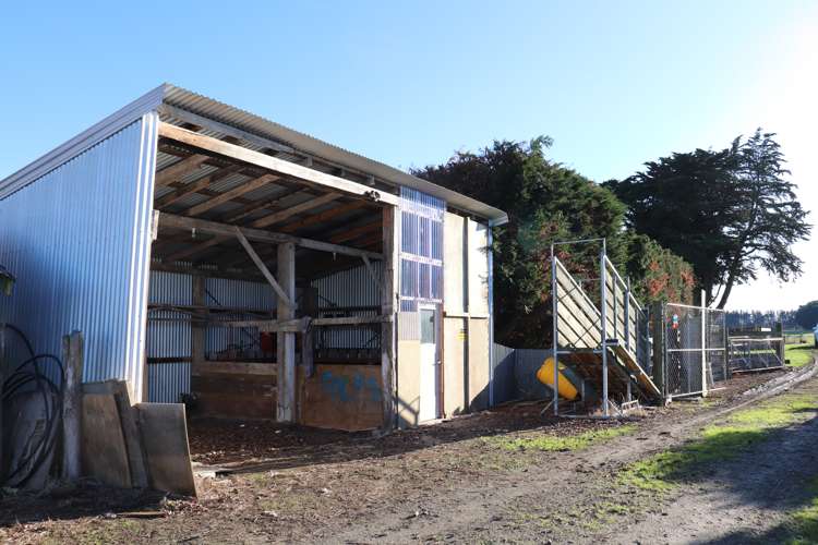 19 Lake Road Longbush_13